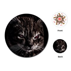 Creepy Kitten Portrait Photo Illustration Playing Cards Single Design (round) by dflcprintsclothing