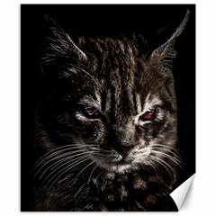 Creepy Kitten Portrait Photo Illustration Canvas 8  X 10  by dflcprintsclothing