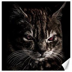 Creepy Kitten Portrait Photo Illustration Canvas 20  X 20  by dflcprintsclothing