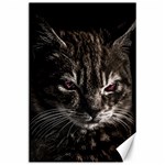 Creepy Kitten Portrait Photo Illustration Canvas 24  x 36  23.35 x34.74  Canvas - 1