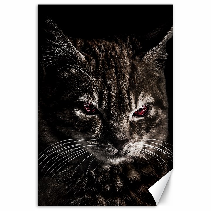 Creepy Kitten Portrait Photo Illustration Canvas 24  x 36 