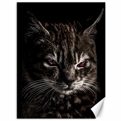 Creepy Kitten Portrait Photo Illustration Canvas 36  X 48  by dflcprintsclothing