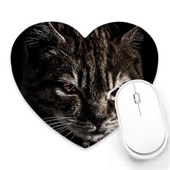 Creepy Kitten Portrait Photo Illustration Heart Mousepads