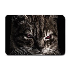 Creepy Kitten Portrait Photo Illustration Small Doormat  by dflcprintsclothing