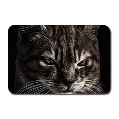 Creepy Kitten Portrait Photo Illustration Plate Mats by dflcprintsclothing