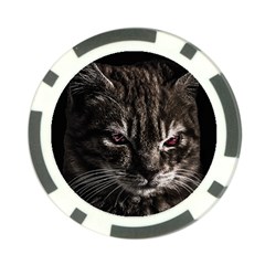 Creepy Kitten Portrait Photo Illustration Poker Chip Card Guard by dflcprintsclothing