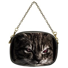 Creepy Kitten Portrait Photo Illustration Chain Purse (one Side) by dflcprintsclothing