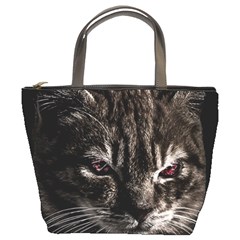 Creepy Kitten Portrait Photo Illustration Bucket Bag by dflcprintsclothing