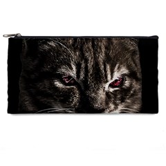 Creepy Kitten Portrait Photo Illustration Pencil Case