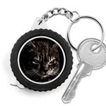 Creepy Kitten Portrait Photo Illustration Measuring Tape Front