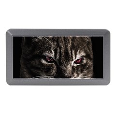 Creepy Kitten Portrait Photo Illustration Memory Card Reader (mini) by dflcprintsclothing