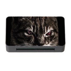 Creepy Kitten Portrait Photo Illustration Memory Card Reader With Cf by dflcprintsclothing