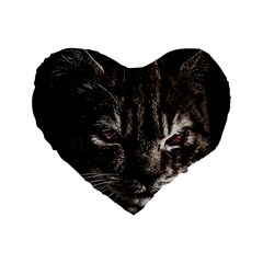 Creepy Kitten Portrait Photo Illustration Standard 16  Premium Heart Shape Cushions