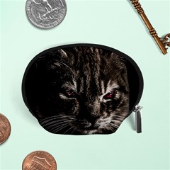 Creepy Kitten Portrait Photo Illustration Accessory Pouch (small) by dflcprintsclothing