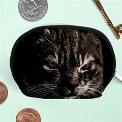 Creepy Kitten Portrait Photo Illustration Accessory Pouch (medium) by dflcprintsclothing