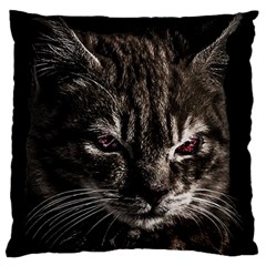 Creepy Kitten Portrait Photo Illustration Standard Flano Cushion Case (one Side)