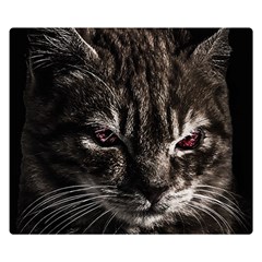 Creepy Kitten Portrait Photo Illustration Double Sided Flano Blanket (small)  by dflcprintsclothing