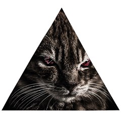 Creepy Kitten Portrait Photo Illustration Wooden Puzzle Triangle by dflcprintsclothing