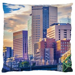 Akihabara Zone Urban Scene Tokyo Japan Large Cushion Case (two Sides)