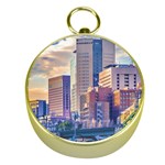 Akihabara Zone Urban Scene Tokyo Japan Gold Compasses Front