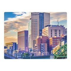 Akihabara Zone Urban Scene Tokyo Japan Double Sided Flano Blanket (mini)  by dflcprintsclothing