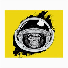 Spacemonkey Small Glasses Cloth by goljakoff