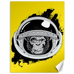 Spacemonkey Canvas 36  X 48  by goljakoff