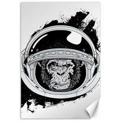 Spacemonkey Canvas 12  X 18  by goljakoff