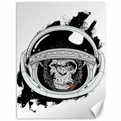 Spacemonkey Canvas 36  X 48  by goljakoff