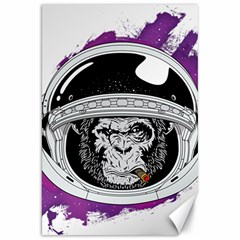 Spacemonkey Canvas 20  X 30  by goljakoff