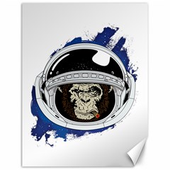 Spacemonkey Canvas 12  X 16  by goljakoff