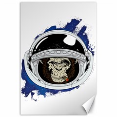 Spacemonkey Canvas 20  X 30  by goljakoff