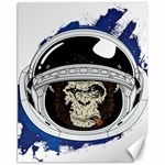 Spacemonkey Canvas 11  x 14  10.95 x13.48  Canvas - 1