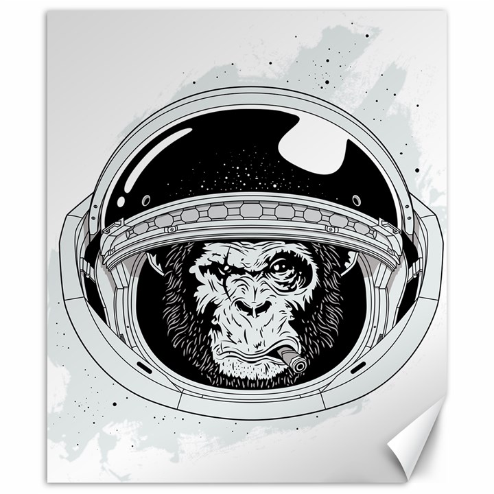 Spacemonkey Canvas 20  x 24 