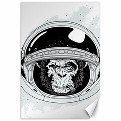 Spacemonkey Canvas 20  X 30 