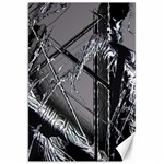 Ag Cobwebs Canvas 20  x 30  19.62 x28.9  Canvas - 1