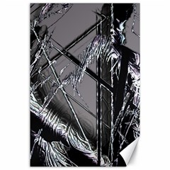 Ag Cobwebs Canvas 24  x 36 