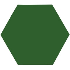 Basil Green Wooden Puzzle Hexagon by FabChoice