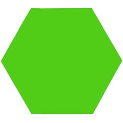 Bright Green Wooden Puzzle Hexagon by FabChoice