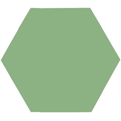 Dark Sea Green Wooden Puzzle Hexagon by FabChoice