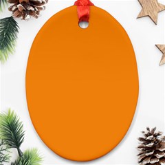 Apricot Orange Oval Ornament (two Sides) by FabChoice