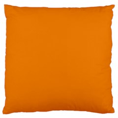 Apricot Orange Large Cushion Case (two Sides) by FabChoice