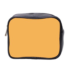 Bees Wax Orange Mini Toiletries Bag (two Sides) by FabChoice