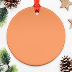 Cantaloupe Orange Ornament (round) by FabChoice