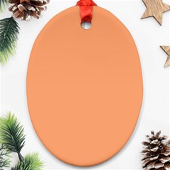 Cantaloupe Orange Oval Ornament (two Sides) by FabChoice