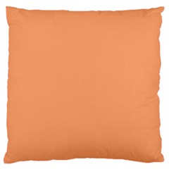 Cantaloupe Orange Large Flano Cushion Case (two Sides) by FabChoice