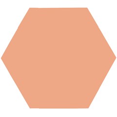 Coral Sands Wooden Puzzle Hexagon by FabChoice