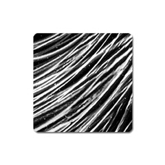 Galaxy Motion Black And White Print Square Magnet