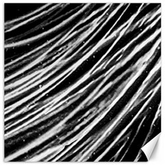 Galaxy Motion Black And White Print Canvas 12  X 12 