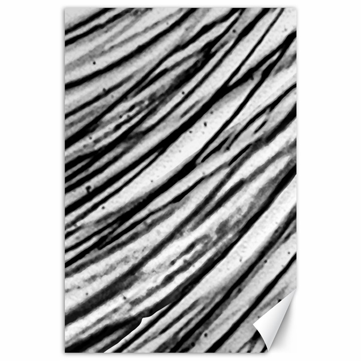 Galaxy Motion Black And White Print 2 Canvas 24  x 36 